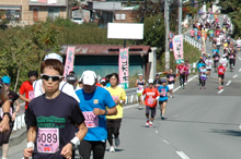コースの様子