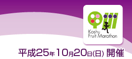 平成25年10月20日(日)開催予定
